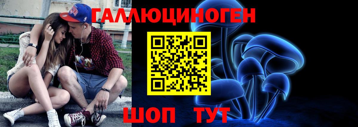Псилоцибиновые грибы Psilocybine cubensis Комсомольск-на-Амуре
